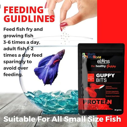 petzlifeworld Horizone (Pack of 3) Healthy Food Combo for Guppy Fish | Elfins The Healthy Guppy Bits-20G, Horizone Royal Breeding for Guppy Fish-22G and Eagle Guppy Flake-100ML