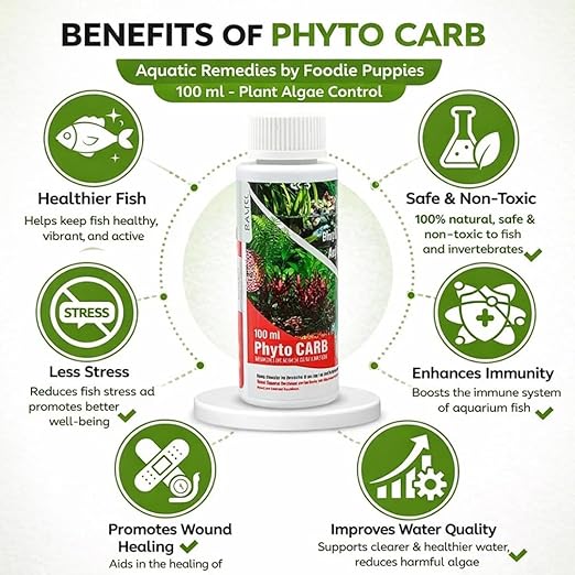 Petzlifeworld Aquatic Remedies 2 PCs Phytocarb (100ml x 2 = 200ml) | Liquid Carbon + Algae Control | CO2 Plus – Algae Minus | Planted Aquarium Fish Tank Supplement