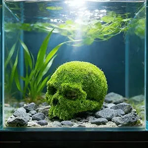 petzlifeworld Moss Skull Aquarium Decoration – Resin Hollow Hideout Cave for Betta, Shrimp & Small Fish | Natural Moss Look Tank Ornament | Safe & Durable Aquascaping Decor
