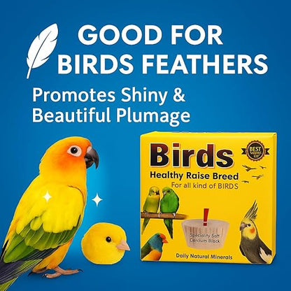 Birds Healthy Raise Breed Daily Natural Minerals Specially Soft Calcium Block, 50G (Pack of 2) for All Kind of Birds - All Life Stages by Petzlifeworld