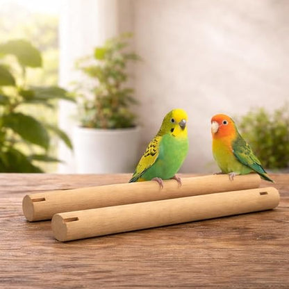 PetzLifeworld 2pcs 2 Feet Natural Wooden Stick for Bird Cage – Sturdy Standing Poles for Parrots, Budgerigars & African Love Birds | Durable Wooden Design for Comfort & Activity (Only Stick)