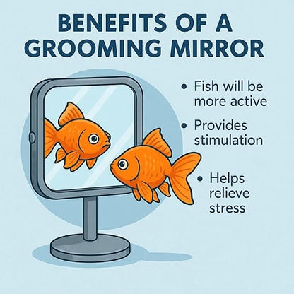 Petzlifeworld Rumble Fish Grooming Mirror for Aquarium Fish Training Mirror (10.5 cm H × 5.6 cm L)| Floating Ball & Suction Cup, Interactive Exercise Toy for Fish & Stress Relief