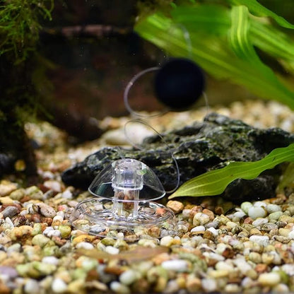 Petzlifeworld Transparent Clear Planted Aquarium Fish Tank Snail Trapper Snail Catching Trap Box | Safe and Doesnt Harm Other Aquatic Species | Easy to Use