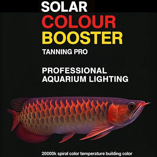 Bluepet Solar Colour Booster Aquarium LED Light – Tanning Pro Fish Color Enhancing Lamp | Professional Aquarium Lighting for Arowana, Channas, Cichlids, Flowerhorn by petzlifeworld