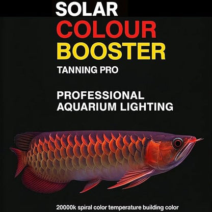 Bluepet Solar Colour Booster Aquarium LED Light – Tanning Pro Fish Color Enhancing Lamp | Professional Aquarium Lighting for Arowana, Channas, Cichlids, Flowerhorn by petzlifeworld