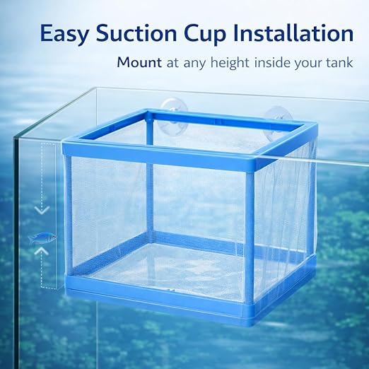 petzlifeworld FS-01 Fish Tank Breeder Net Box with Suction Cups | Blue Mesh Fry Saver for Aquarium | Isolation Box for Baby, Injured & Aggressive Fish