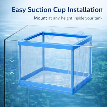 petzlifeworld FS-01 Fish Tank Breeder Net Box with Suction Cups | Blue Mesh Fry Saver for Aquarium | Isolation Box for Baby, Injured & Aggressive Fish