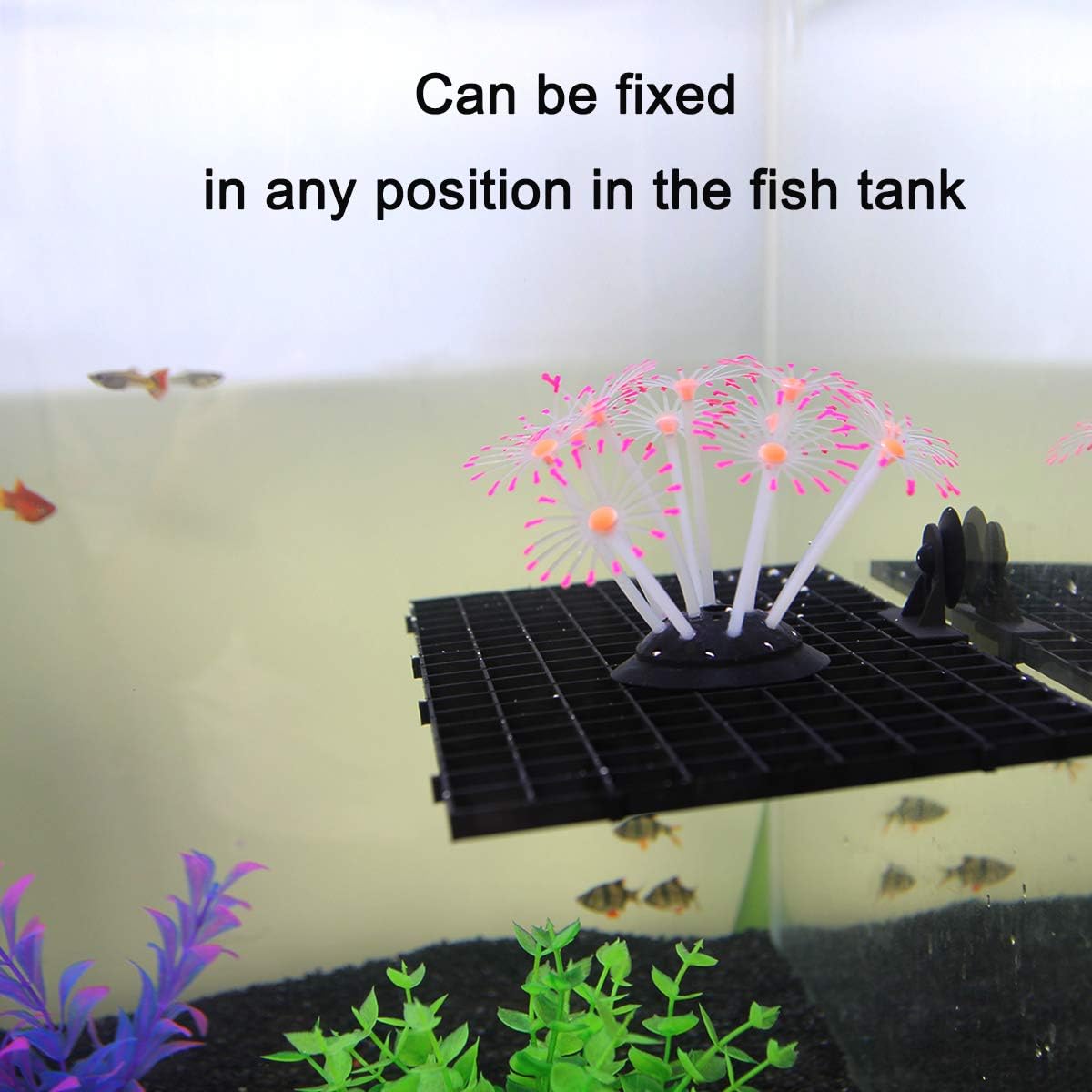 Petzlifeworld Black Fish Tank Divider Plastic Aquarium Divider Panel Separator Grid Isolation Board with Free Divider Clip