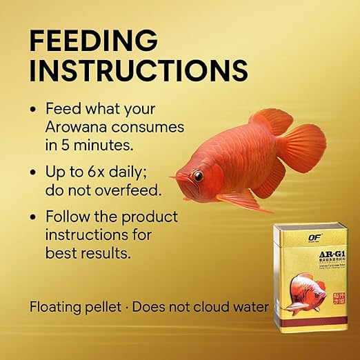Petzlifeworld Ocean Free AR-G1 Arowana Carnivorous Pellet Fish Food 250g | High Protein Floating Pellets | Premium Feed for Arowana & Large Carnivorous Fish