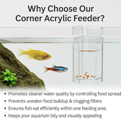 petzlifeworld Corner Acrylic Floating and Sinking Fish Food Feeder for Nano Aquariums | Ideal for Betta, Guppy, and Shrimp Tanks | Fits up to 6mm Glass