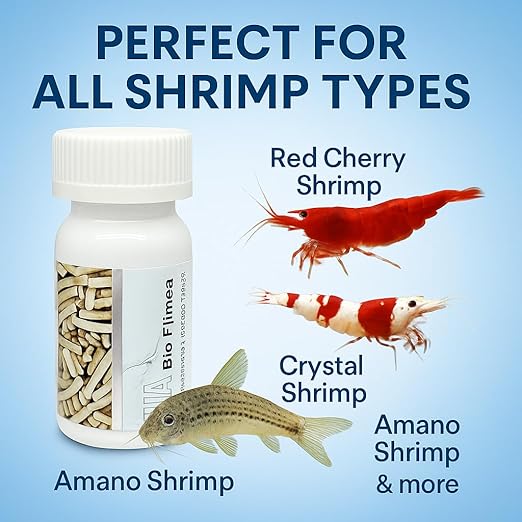 Petzlifeworld Wa Shrimp Sticks 15G Sinking Type Food Stick For Shrimps(Bio Filmea-Probiotic And Prebiotic Feed)