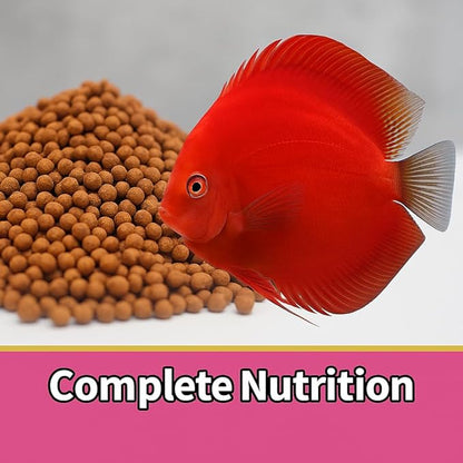 Inch Gold Red Parrot Color Enhancer Fish Food