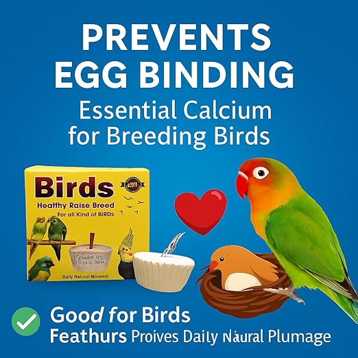 Birds Healthy Raise Breed Daily Natural Minerals Specially Soft Calcium Block, 50G (Pack of 2) for All Kind of Birds - All Life Stages by Petzlifeworld
