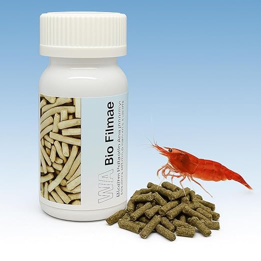 Petzlifeworld Wa Shrimp Sticks 15G Sinking Type Food Stick For Shrimps(Bio Filmea-Probiotic And Prebiotic Feed)
