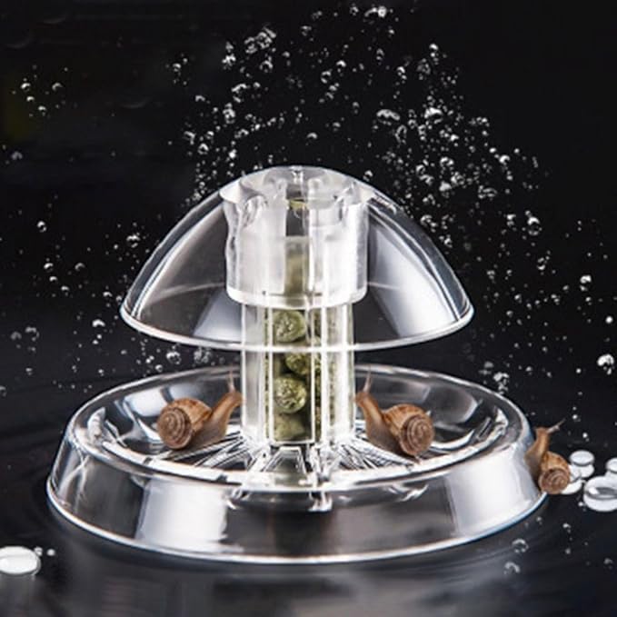 Petzlifeworld Transparent Clear Planted Aquarium Fish Tank Snail Trapp ...