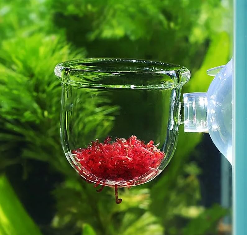 Petzlifeworld Premium Glass Live Blood Worms Feeding Cone with Sucker for Aquarium Fish Tank | Easy to Feed Live Worms Without Making You Tank Messy (PinHole Type Feeder)