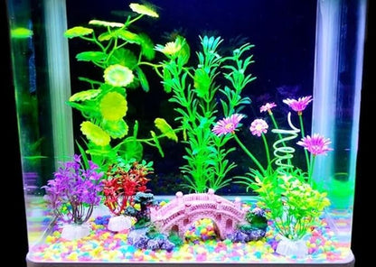 Petzlifeworld Decorative Mixed Peables Colour Stone for Aquarium Fish Tank and Indoor Home Decoration and Garden Decor