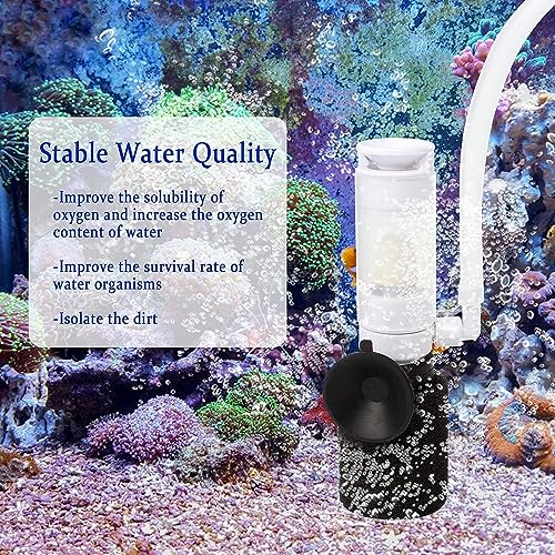 Petzlifeworld Aquarium Mini Sponge Filter Biochemical Sponge Filters, Ultra Quiet Air Filter with Air Tubing Internal Purifier for Fish Tank Oxygen Increasing and Cycle