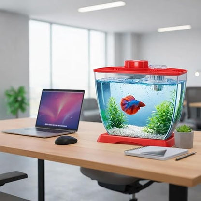 petzlifeworld Mini Acrylic Betta Fish Tank with Plant Pot Holder | Clear Acrylic | 22×12×15 cm | Desktop Nano Tank for Betta & Small Fish | Kid Safe, Beginner Friendly | Random Colour