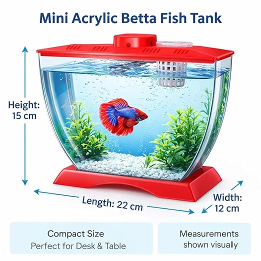 petzlifeworld Mini Acrylic Betta Fish Tank with Plant Pot Holder | Clear Acrylic | 22×12×15 cm | Desktop Nano Tank for Betta & Small Fish | Kid Safe, Beginner Friendly | Random Colour