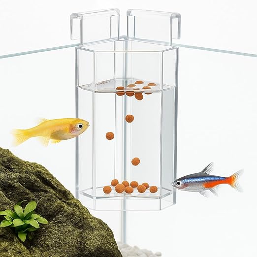 petzlifeworld Corner Acrylic Floating and Sinking Fish Food Feeder for Nano Aquariums | Ideal for Betta, Guppy, and Shrimp Tanks | Fits up to 6mm Glass