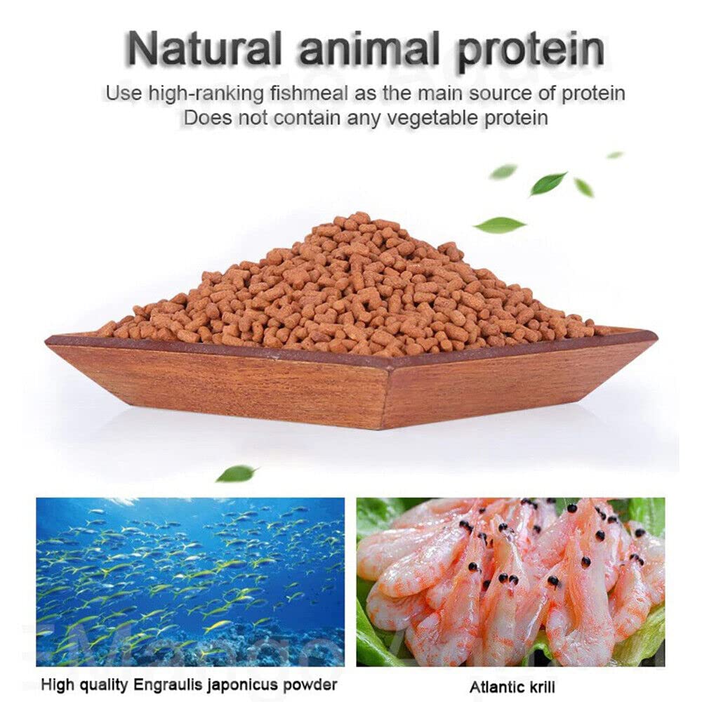 Petzlifeworld Ocean Free AR-G1 Arowana Carnivorous Pellet Fish Food 250g | High Protein Floating Pellets | Premium Feed for Arowana & Large Carnivorous Fish