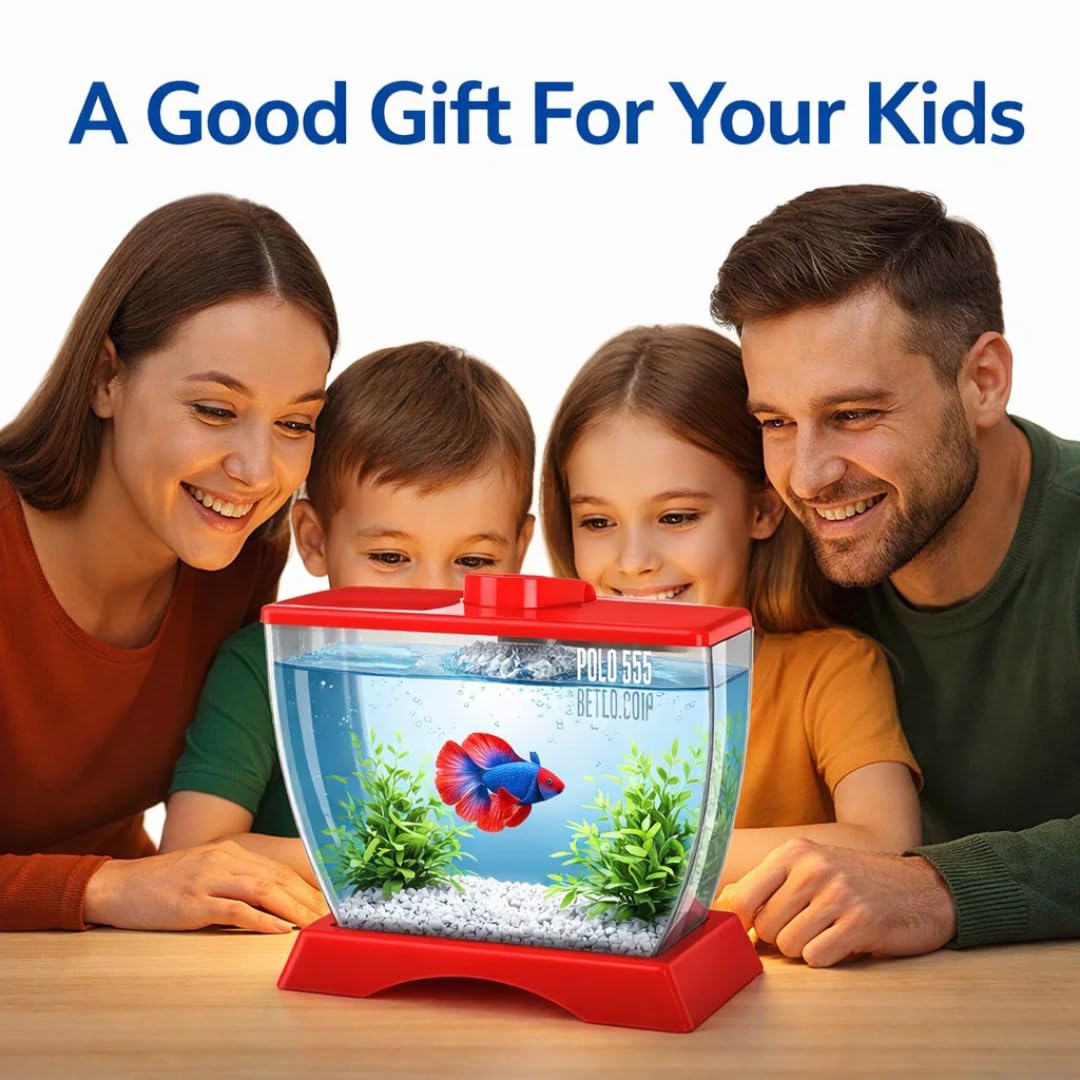 petzlifeworld Mini Acrylic Betta Fish Tank with Plant Pot Holder | Clear Acrylic | 22×12×15 cm | Desktop Nano Tank for Betta & Small Fish | Kid Safe, Beginner Friendly | Random Colour
