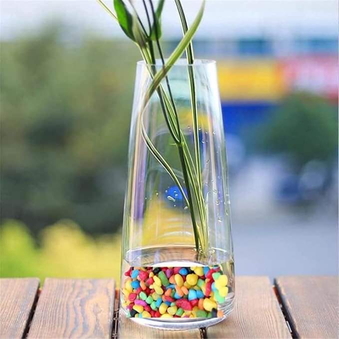 Petzlifeworld Decorative Mixed Peables Colour Stone for Aquarium Fish Tank and Indoor Home Decoration and Garden Decor