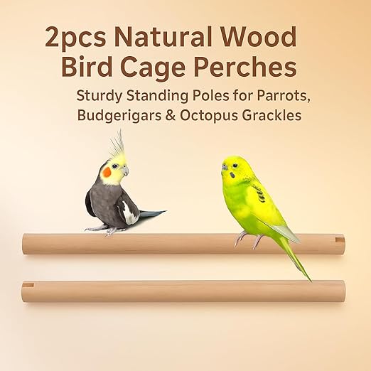 PetzLifeworld 2pcs 2 Feet Natural Wooden Stick for Bird Cage – Sturdy Standing Poles for Parrots, Budgerigars & African Love Birds | Durable Wooden Design for Comfort & Activity (Only Stick)