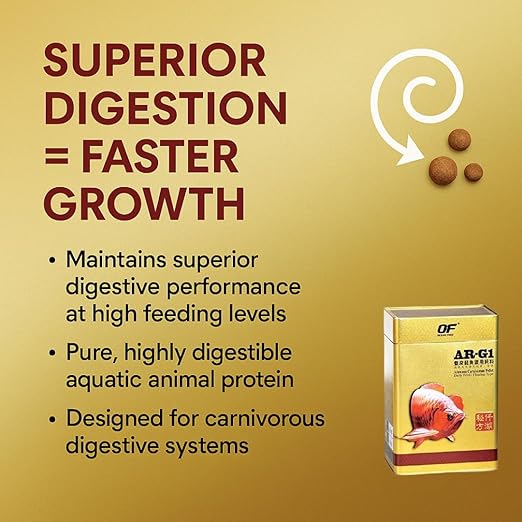 Petzlifeworld Ocean Free AR-G1 Arowana Carnivorous Pellet Fish Food 250g | High Protein Floating Pellets | Premium Feed for Arowana & Large Carnivorous Fish