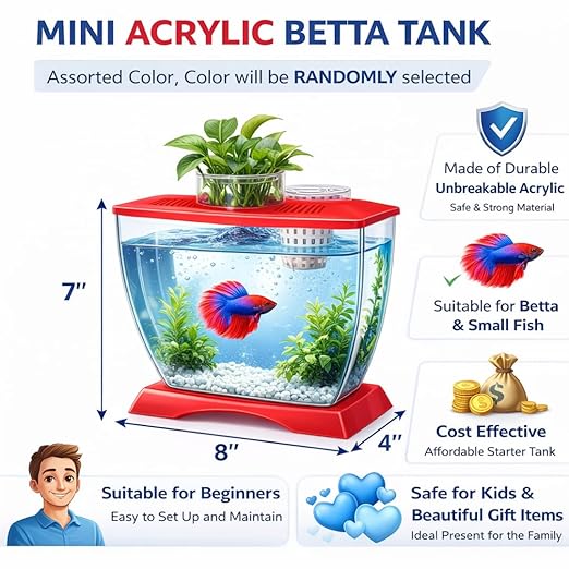 petzlifeworld Mini Acrylic Betta Fish Tank with Plant Pot Holder | Clear Acrylic | 22×12×15 cm | Desktop Nano Tank for Betta & Small Fish | Kid Safe, Beginner Friendly | Random Colour