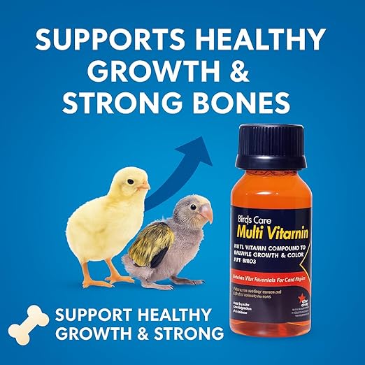 Birds Care Multi Vitamin 60ML (Pack of 2) for All Birds Health Supplements by Petzlifeworld