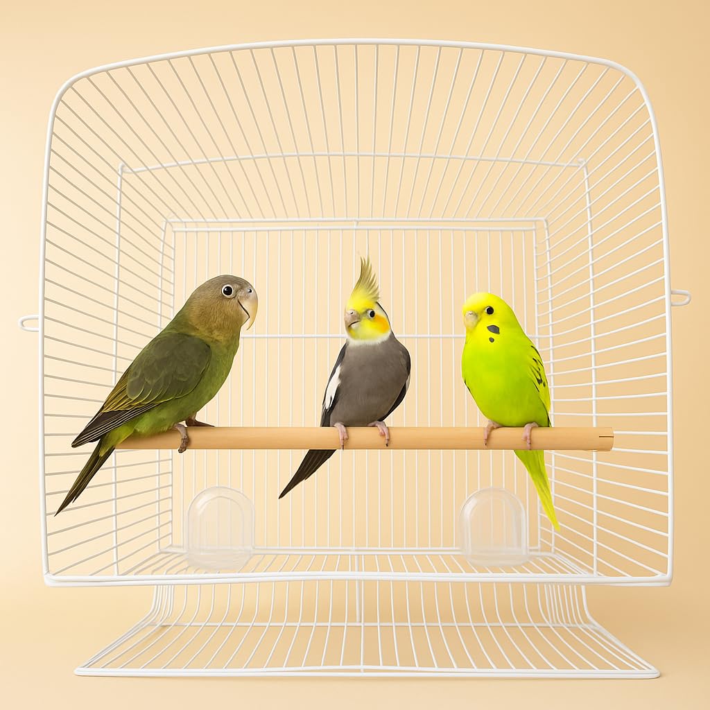 PetzLifeworld 2pcs 2 Feet Natural Wooden Stick for Bird Cage – Sturdy Standing Poles for Parrots, Budgerigars & African Love Birds | Durable Wooden Design for Comfort & Activity (Only Stick)