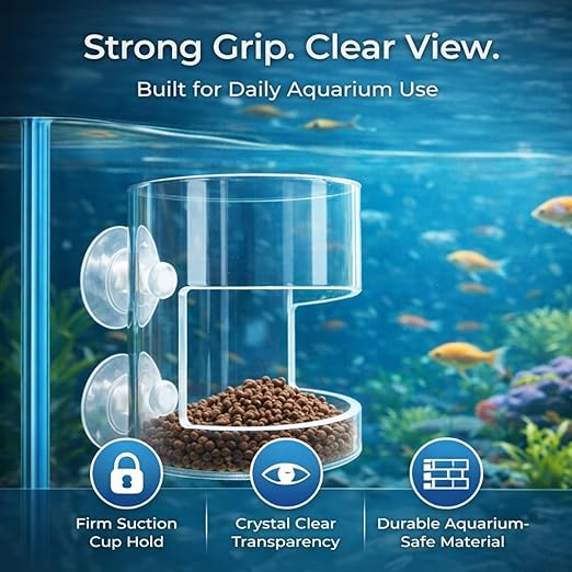petzlifeworld Aquarium Round Feed Chamber with Suction Cup | Transparent Round Feeding Cup | Prevents Food Waste & Keeps Water Clean | Ideal for Betta, Guppy & Community Tanks