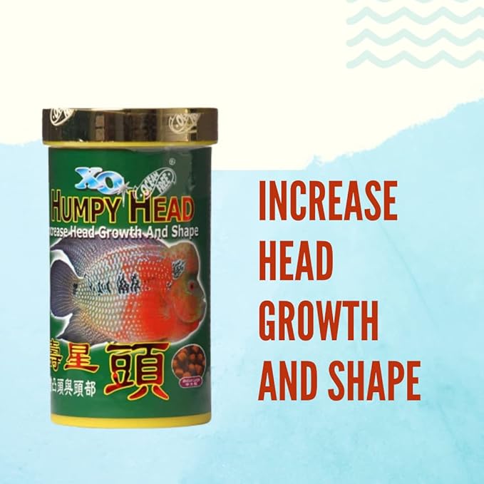 Ocean Free XO Green (Original) Fish Food, 280ML/100G | Increase Head Growth and Shape for Flowerhorn Fish by Petzlifeworld