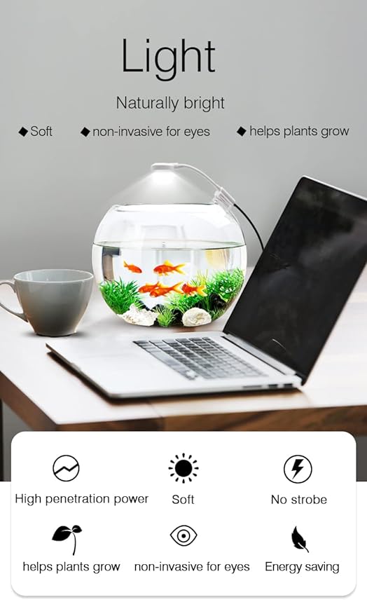 Petzlifeworld Aquarium Nano Mini Small Fish Tank Multimode Wrgb Adjustable Bowl Clip On Light