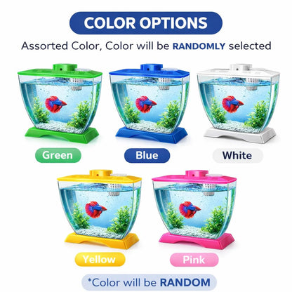 petzlifeworld Mini Acrylic Betta Fish Tank with Plant Pot Holder | Clear Acrylic | 22×12×15 cm | Desktop Nano Tank for Betta & Small Fish | Kid Safe, Beginner Friendly | Random Colour