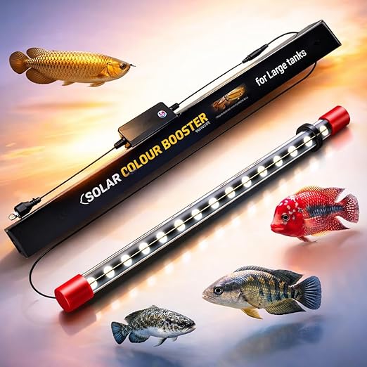 Bluepet Solar Colour Booster Aquarium LED Light – Tanning Pro Fish Color Enhancing Lamp | Professional Aquarium Lighting for Arowana, Channas, Cichlids, Flowerhorn by petzlifeworld