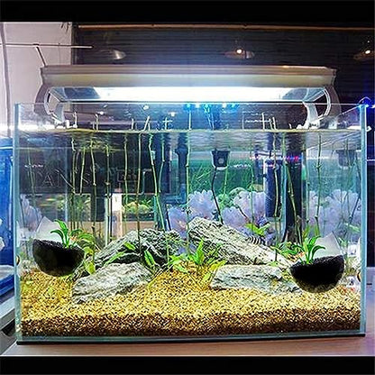 PetzLifeWorld Polka Plant Pot for Aquarium Fish Tank | Carpet Plants Planting Glass Pot | Crystal Clear Glass Pot with with Strong Suction Cup