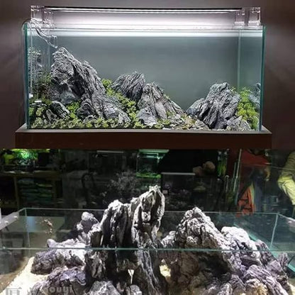 Petzlifeworld Premium Seiryu Rock – Natural River Rock for Aquascaping, Terrariums & Freshwater Aquariums