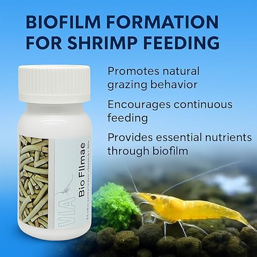 Petzlifeworld Wa Shrimp Sticks 15G Sinking Type Food Stick For Shrimps(Bio Filmea-Probiotic And Prebiotic Feed)