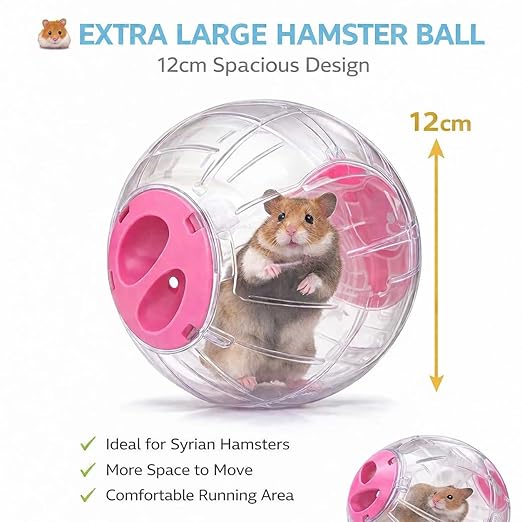 Petzlifeworld Large Hamster Exercise Ball 12CM Transparent Running Ball | Safe Lock Design | Small Animal Exercise Toy for Syrian Hamsters, Mice & Rodents | Cage Accessories & Play Toy