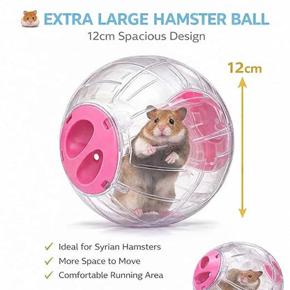 Petzlifeworld Large Hamster Exercise Ball 12CM Transparent Running Ball | Safe Lock Design | Small Animal Exercise Toy for Syrian Hamsters, Mice & Rodents | Cage Accessories & Play Toy