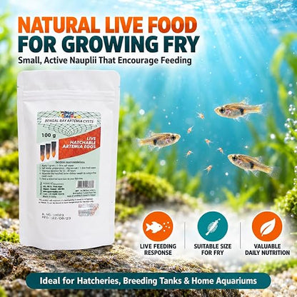 PetzLifeworld Bengal Bay 100g (0.22 Oz) Artemia Cysts - 90% Hatch Rate for Baby & Fry Fish