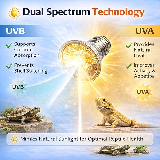 Petzlifeworld  1 Pcs Reptile UVB + UVA Heat Lamp  E27 Base, Basking Light for Turtle Tortoise Lizard Frog Snake, Dual Spectrum UV Light for Calcium Growth & Heating, Terrarium Aquarium Bulb