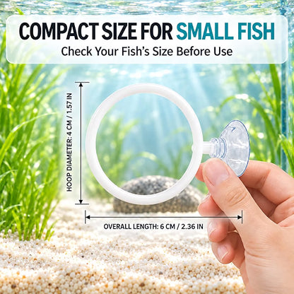 Petzlifeworld Aquarium Fish Training Ring 4cm Dia with Suction Cup | Interactive Swimming Hoop & Obstacle Course Toy for Betta, Guppy & Small Fish