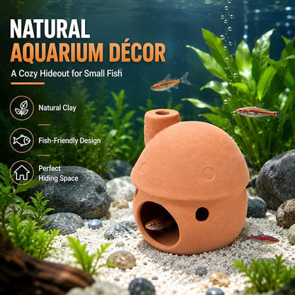 Petzlifeworld (Mushroom House Natural Clay Fish Tank Hideout | Aquarium Ornament Decoration for Small Fish & Shrimp | Terracotta Shelter for Resting, Hiding & Aquascaping