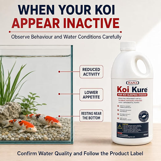 Petzlifeworld Koi Kure for Ornamental Koi Fish – 100ml & 500ml | Support for Koi Sleeping Disease | Helps Support Activity, Appetite & Recovery | Pond & Treatment Tank Use