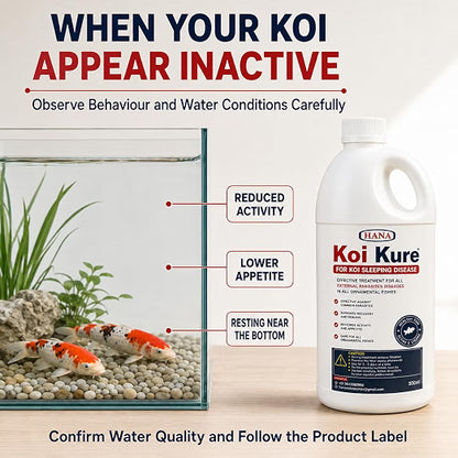 Petzlifeworld Koi Kure for Ornamental Koi Fish – 100ml & 500ml | Support for Koi Sleeping Disease | Helps Support Activity, Appetite & Recovery | Pond & Treatment Tank Use
