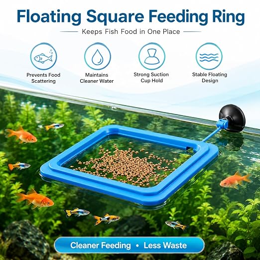 PetzLifeworldPlastic Fish Feeder for Aquarium Tank Floating Food Feeding Ring, Square - Aquarium Fish Tank Accessories Cichild, Beta, Goldfish, Spirulina and Koi Pond - with Suction Cup